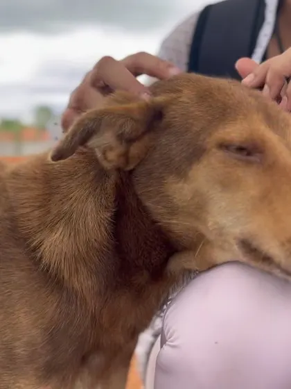 A close up of a trekker petting a calm, happy dog. Our adventures are made better by the friendly animals we meet.