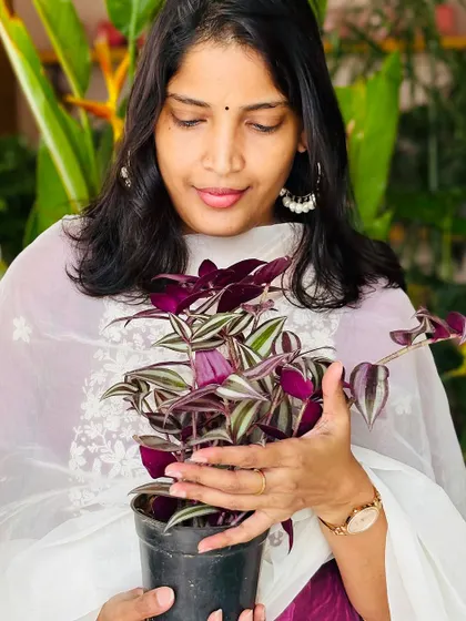 This is me, Keerthi. I have anxiety about being on camera, but I wanted to show my face. I love what I do, and with my incredible team, I'm navigating the challenges of this industry one garden at a time.