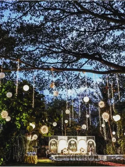 A wide shot showing the reception stage set against the backdrop of our large trees at dusk, blending elegance with nature.