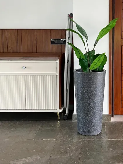 Another beautiful option from our new artificial plant collection. This Bird of Paradise in a granite-finish planter adds a touch of the exotic to this entryway, creating a lasting first impression.