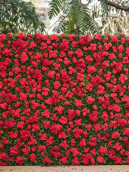 A simple yet impactful photo backdrop made entirely of vibrant red flowers, set against a natural green backdrop for a family lunch.