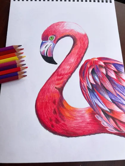 Another perspective of the vibrant flamingo artwork, showcasing the smooth blending achieved with colored pencils.