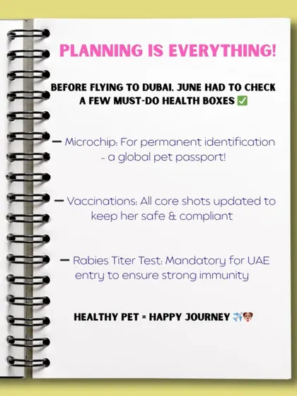 Planning is everything for a move to Dubai! This checklist shows the mandatory health requirements for UAE entry, including microchip, vaccinations, and a rabies titer test, all of which I handle.