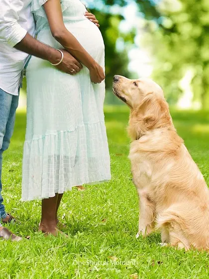 A quiet moment of connection between a mother-to-be and her faithful Golden Retriever. These are the subtle, heartfelt interactions I love to capture during a maternity photoshoot.