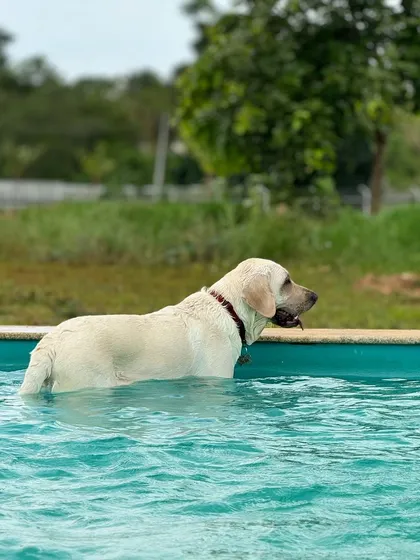 A calm moment in the pool. Our water is always clean and inviting for a relaxing dip or an energetic swim.