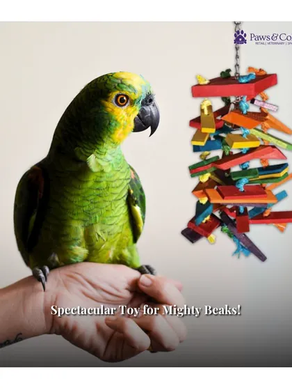 A spectacular toy for mighty beaks! This Plank and Rope Bird Toy is perfectly sized for large birds like Macaws and Cockatoos, providing a safe and stimulating outlet for natural chewing and preening behaviors.