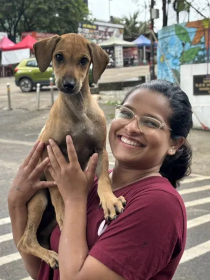 A happy smile from this sweet Indie pup. I have a soft spot for our local Indian breeds and love their resilient and loving nature.