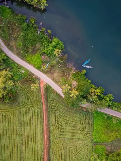 A top-down drone shot showing a road winding between harvested paddy fields and a calm river, showcasing the beautiful patterns of the landscape.