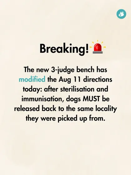 Breaking news for the animal welfare community. We shared this update immediately to inform our followers that the Supreme Court had modified its earlier directions, reinforcing the 'catch-sterilize-release' principle.