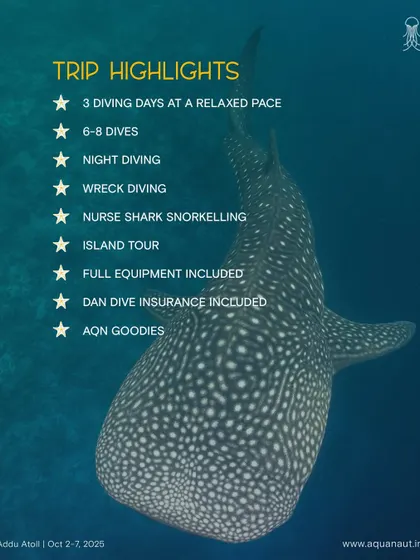 The trip highlights for our Addu Atoll expedition, including wreck diving, night diving, and nurse shark snorkeling.