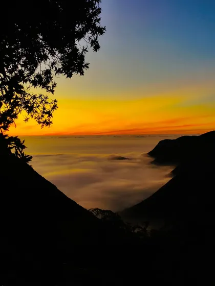 A breathtaking sunrise view from Munnar, with the sky on fire above a sea of clouds.