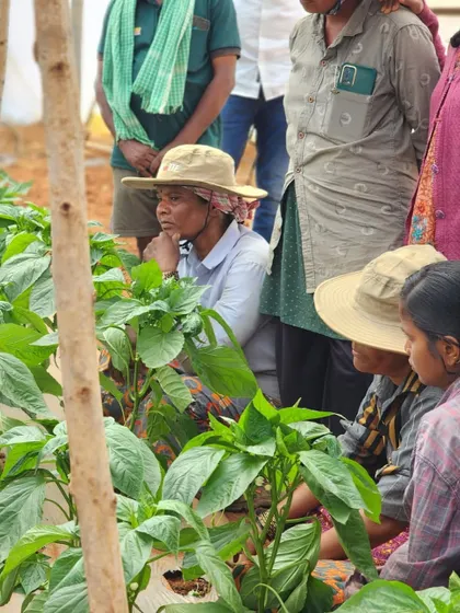 A woman farmer listens intently during a training session. On Farmer's Day and every day, we are grateful for the immense contribution of women in agriculture.
