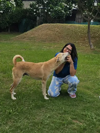 This image is the same as the previous one, showing a heartwarming interaction. We provide a space where you can focus on what truly matters: spending quality time with your loved ones, furry or not.