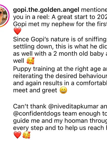 A wonderful testimonial from Gopi's family. They credit his calm nature around their new baby to the foundation we built in his puppy training. This is the real-life benefit of starting early and being consistent.
