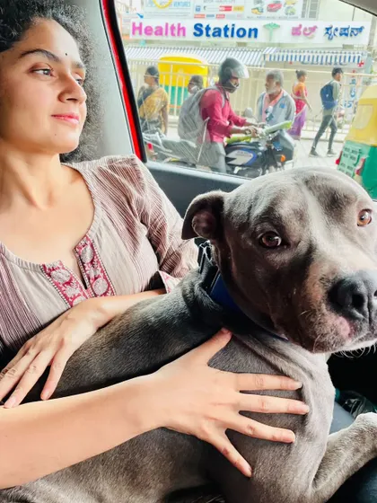 The freedom ride! Kyro on his way to his new life with his forever mom. This is the moment all our shelter animals dream of.