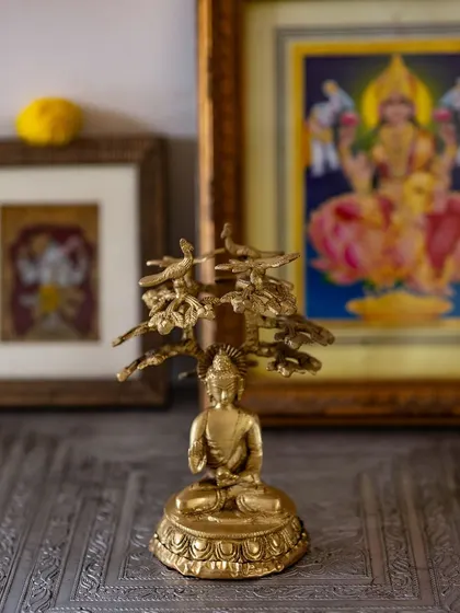 A beautiful new idol of Lord Buddha under the Bodhi Tree, gifted to our shala. It is a precious reminder that the Buddha's light shows us the way to be calm and peaceful.