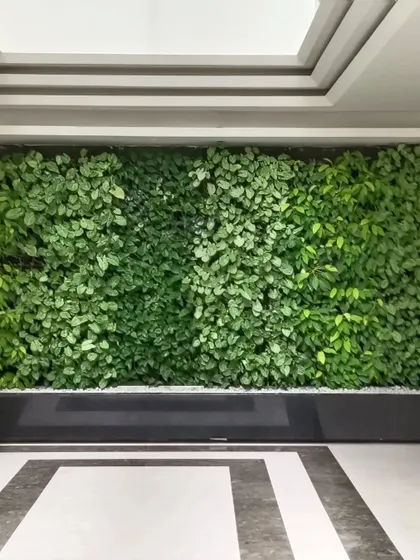A vertical garden inside the RMZ Latitude property. Incorporating natural elements indoors is excellent for energy, and my Vastu consultation ensures such features are placed in the correct zones to maximize their positive impact.