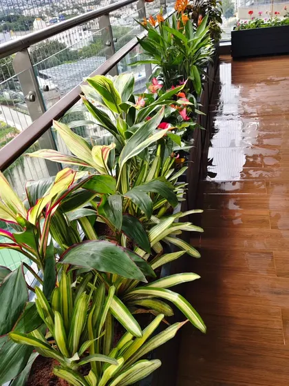Another angle of the balcony planter installation, showing how the continuous line of greenery transforms the edge of the space.