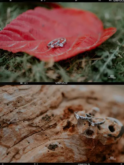 A creative collage of the engagement rings on natural elements like a leaf and wood.