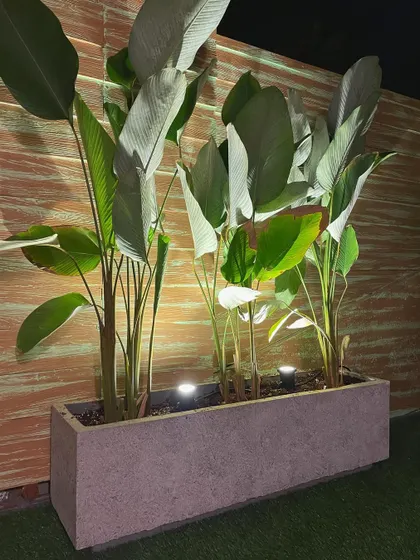A closer look at how uplighting transforms these planter boxes at night, highlighting the beautiful foliage and creating a resort-like feel.