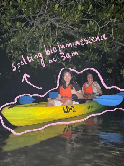Spotting bioluminescence at 3 am while kayaking in the Andamans. The pink outline highlights this magical, late-night adventure.
