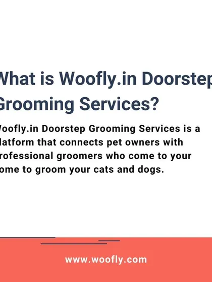My service connects you with professional groomers for convenient at-home care for your cats and dogs.