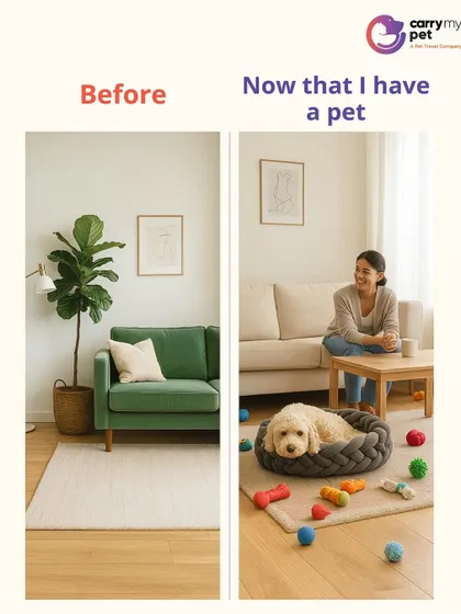 Before my pet, my living room was a picture of minimalist calm. Now, it's a happy, chaotic landscape of toys, beds, and love.