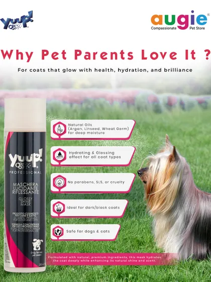Pet parents love our Yuup! Professional Glossy Shine Mask because it delivers deep moisture for a coat that glows with health. It's packed with natural oils and is safe for both dogs and cats.