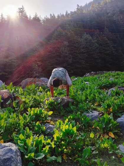 Yoga is a science of well-being. These images capture the beauty of practicing in nature, from the beach at sunrise to a lush green park, reminding us to connect with the world around us.