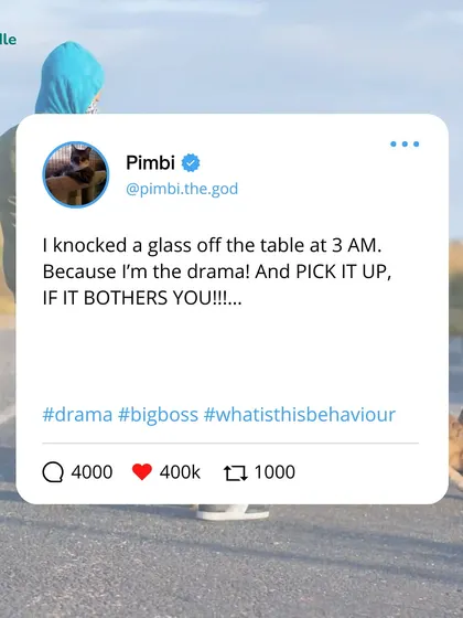 If my pet could tweet, it would be a masterclass in drama. "I knocked a glass off the table at 3 AM. Because I'm the drama! And PICK IT UP, IF IT BOTHERS YOU!!!"