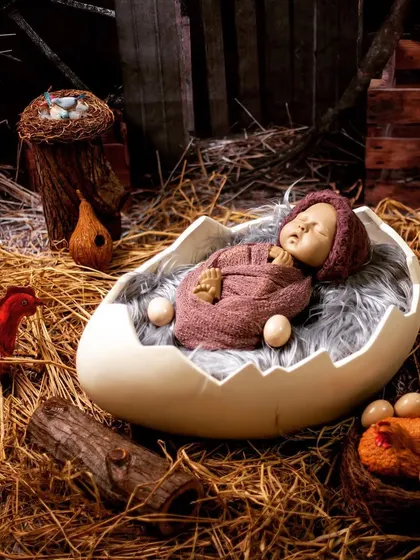 A creative farm-themed newborn shoot, with the baby sleeping in an eggshell prop on a bed of hay. The scene is complete with charming rooster and hen props for a rustic feel.