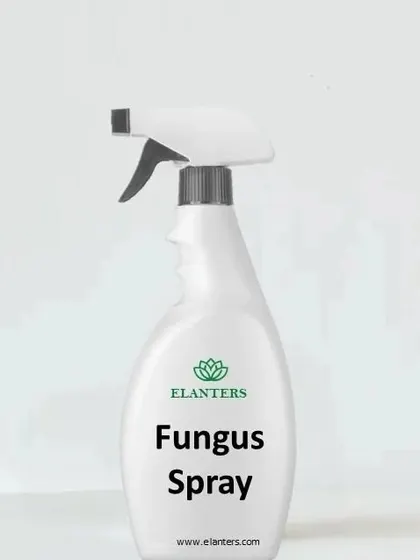 Our ready-to-use Fungus Spray helps protect your plants from common fungal diseases. It's a must-have for any plant parent to tackle issues before they spread.