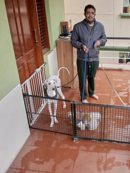 Getting ready for a walk on a rainy day. Our balcony is safely enclosed, providing a secure waiting area before we head out.