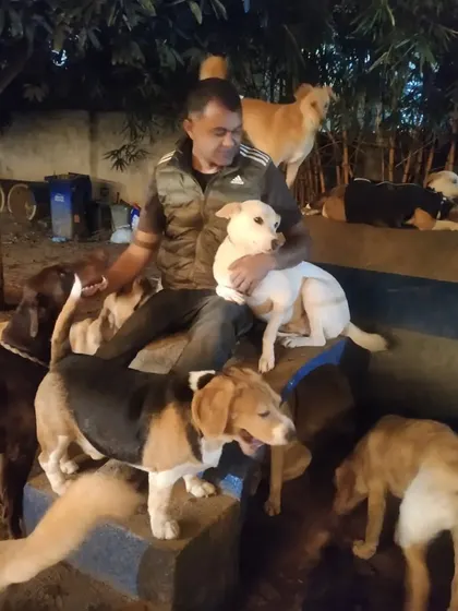 Just me, sitting with the pack at night. This is my favorite way to wind down the day.