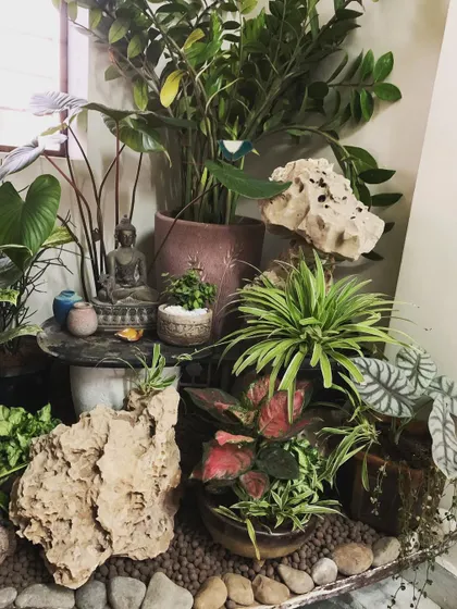 A detailed look at the lower level of the lobby arrangement, showing how colorful caladiums and other small plants are nestled among natural rocks. This technique creates a finished, ground-cover effect that feels like a real garden bed.