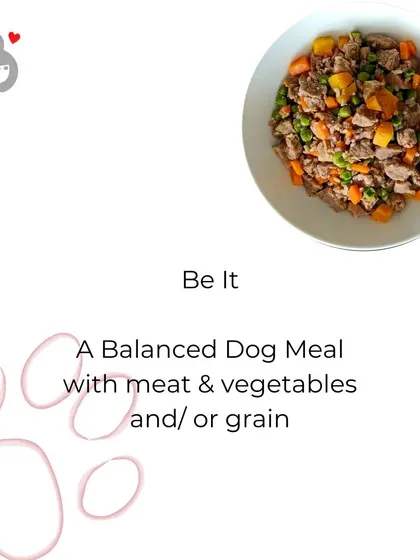 Whether it's a balanced meal or just some tasty organ meats, feeding your dog a fresh, meat-based diet is the best way to keep them healthy and happy.
