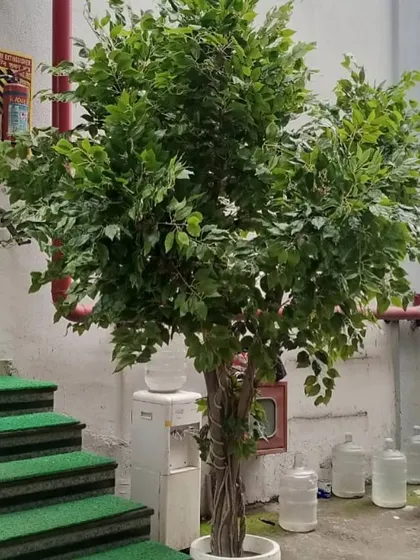 This tall, lush artificial ficus tree is perfect for adding height and a touch of nature to indoor spaces with high ceilings, like this stairwell landing.