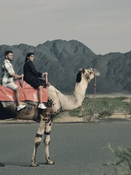 An adventurous pre-wedding shot featuring a camel ride against a mountain backdrop. We are equipped to handle unique and creative shoot concepts in various locations.