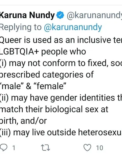 Defining the term "queer" in the context of our legal fight. It is an inclusive term for people who live outside prescribed gender and sexual norms, and our goal is to achieve legal recognition for their families and kinship.