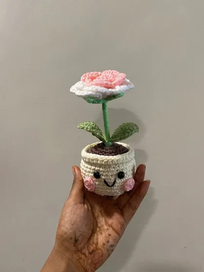 This two-toned pink and white rose in a smiley pot is my personal favourite. The colours are so soft and pretty, and the happy face just completes the look.