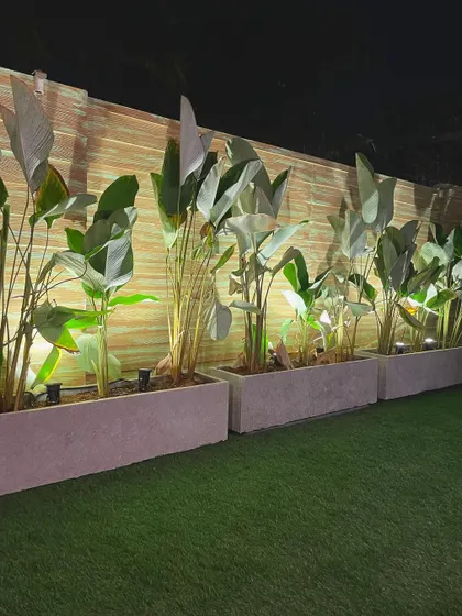 My versatile rectangle planter boxes creating a lush and serene boundary around a beautiful tropical pool suite. They are a client favorite for a reason.