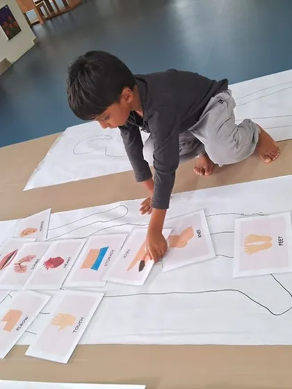 This student is arranging all the body part cards on his outline, completing the puzzle and reinforcing his learning.