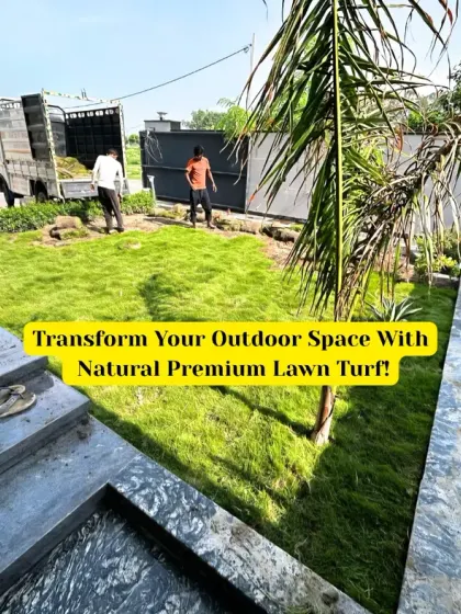 A daytime view of a natural premium lawn turf installation in progress. You can see the immediate impact the fresh green grass has on the outdoor space of this modern residence.