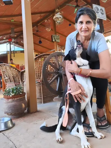 A guest shares a loving moment with her black and white Indie dog, Moju, in our cafe. We ensure a safe environment by requiring all dogs to be on a leash in the main dining areas.