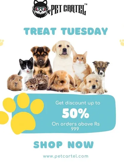 Treat your pet any day of the week! We frequently offer discounts on orders, making it easy to spoil your dog, cat, or other small animal.