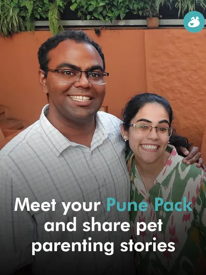 At our Pune Adda, members had the chance to meet our local mentors and team members, sharing personal pet parenting stories and experiences.