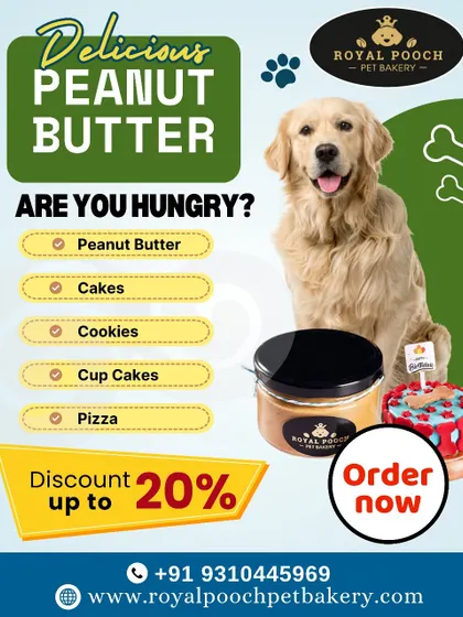 From delicious peanut butter to custom cakes and cookies, I have a treat for every hungry pet. Check out my menu for all the tasty options.