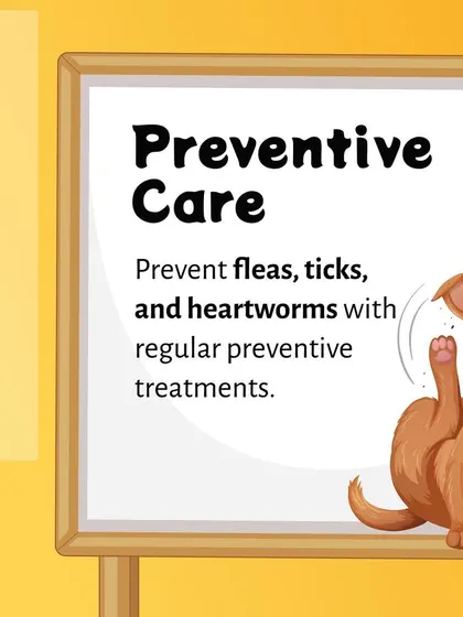Protecting your pet from parasites is a year-round responsibility. This guide highlights the necessity of consistent preventive treatments for fleas, ticks, and heartworms to ensure your pet stays healthy.