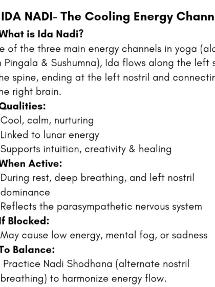 Ida Nadi is the cooling, lunar energy channel. It flows along the left side of the spine, supports intuition and creativity, and is linked to the parasympathetic nervous system.