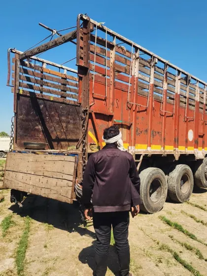 A member of our team inspects a truck before it's loaded with turf, ensuring our logistics are seamless.